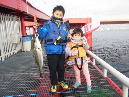 尼崎市立魚つり公園 釣果