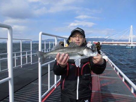 尼崎市立魚つり公園 釣果