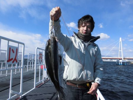 尼崎市立魚つり公園 釣果