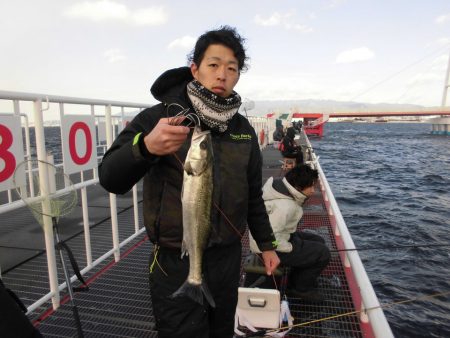 尼崎市立魚つり公園 釣果