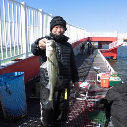 尼崎市立魚つり公園 釣果