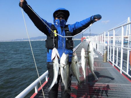 尼崎市立魚つり公園 釣果
