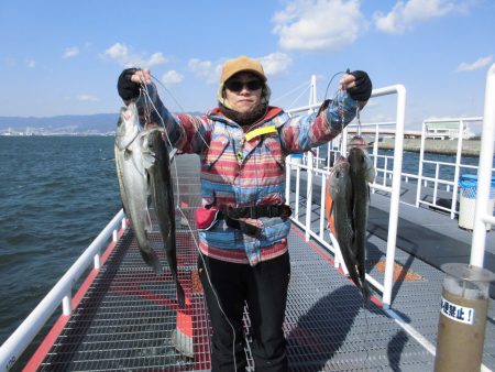 尼崎市立魚つり公園 釣果