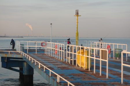 オリジナルメーカー海づり公園(市原市海づり施設) 釣果