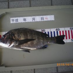 姫路市立遊魚センター 釣果