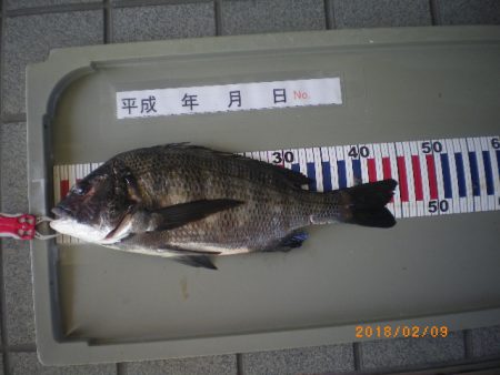 姫路市立遊魚センター 釣果