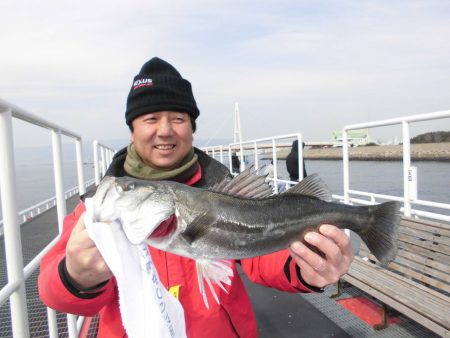 尼崎市立魚つり公園 釣果