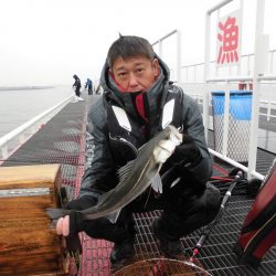 尼崎市立魚つり公園 釣果