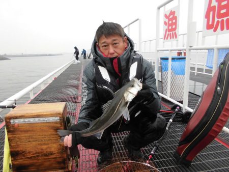 尼崎市立魚つり公園 釣果
