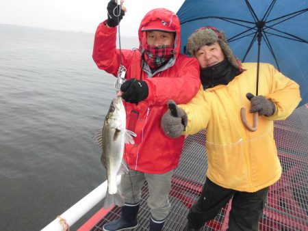 尼崎市立魚つり公園 釣果
