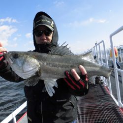 尼崎市立魚つり公園 釣果