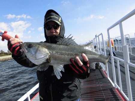 尼崎市立魚つり公園 釣果