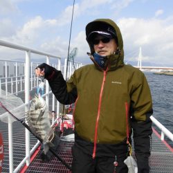 尼崎市立魚つり公園 釣果