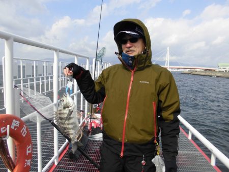 尼崎市立魚つり公園 釣果