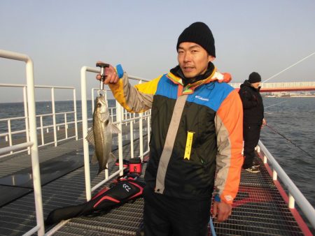 尼崎市立魚つり公園 釣果