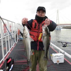 尼崎市立魚つり公園 釣果
