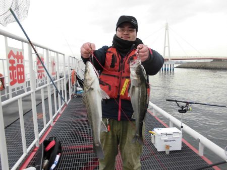 尼崎市立魚つり公園 釣果