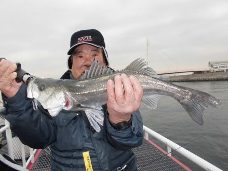 尼崎市立魚つり公園 釣果