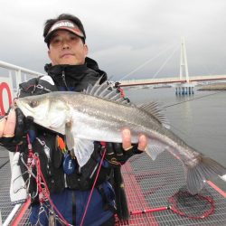 尼崎市立魚つり公園 釣果