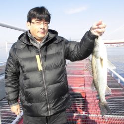 尼崎市立魚つり公園 釣果