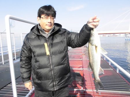 尼崎市立魚つり公園 釣果