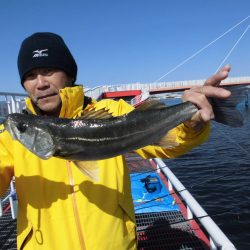 尼崎市立魚つり公園 釣果