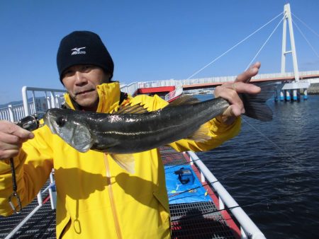 尼崎市立魚つり公園 釣果