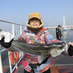 尼崎市立魚つり公園 釣果
