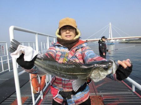 尼崎市立魚つり公園 釣果