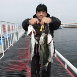 尼崎市立魚つり公園 釣果