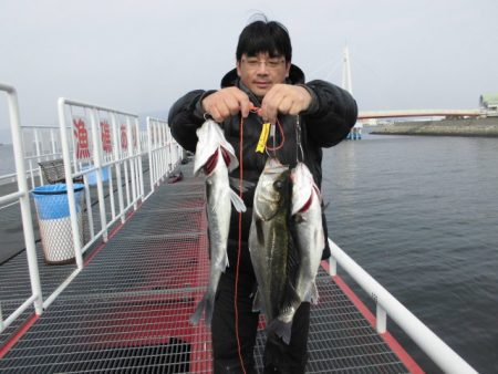 尼崎市立魚つり公園 釣果