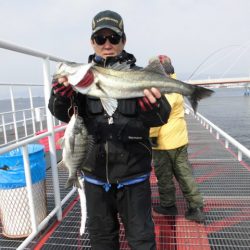 尼崎市立魚つり公園 釣果
