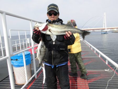 尼崎市立魚つり公園 釣果