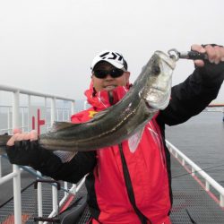 尼崎市立魚つり公園 釣果