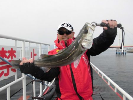 尼崎市立魚つり公園 釣果