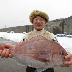 大進丸（新潟） 釣果