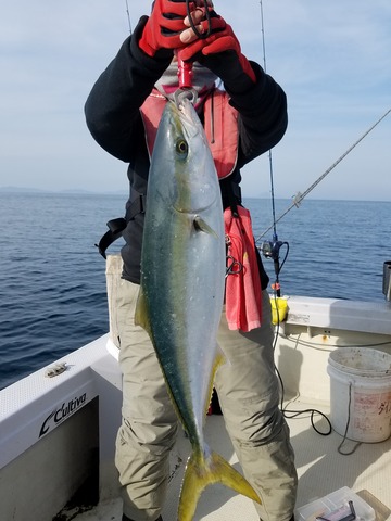 遊漁船　ニライカナイ 釣果