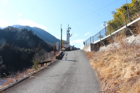 小菅トラウトガーデン 釣果