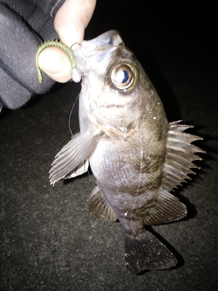 活性が上がってきた？