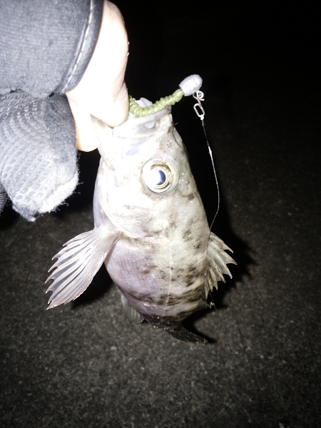 活性が上がってきた？