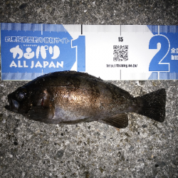 活性が上がってきた？