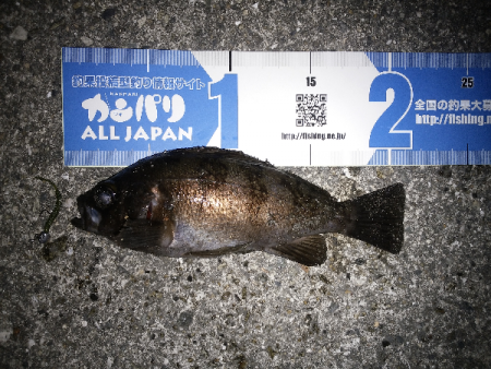 活性が上がってきた？