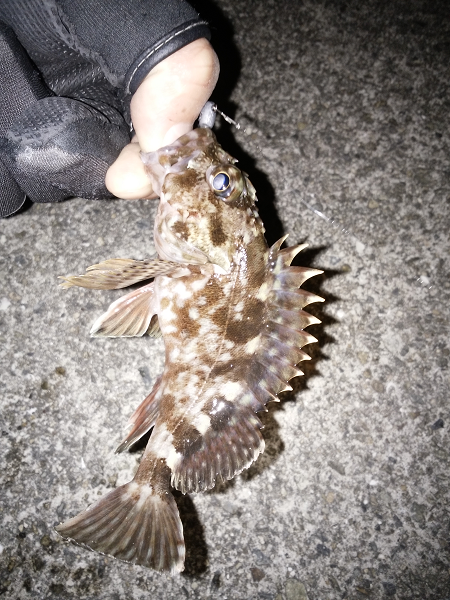 活性が上がってきた？