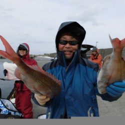 大進丸(新潟) 釣果