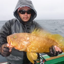 真祐丸 (しんゆうまる) 釣果