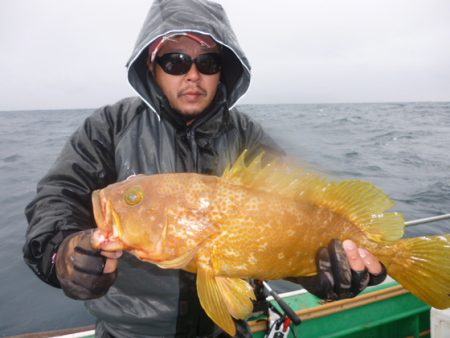 真祐丸 (しんゆうまる) 釣果