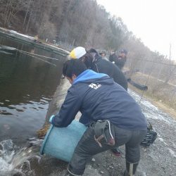 平谷湖フィッシングスポット 釣果