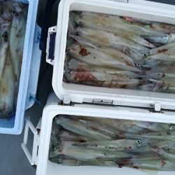 IDATEN（イダテン） 釣果