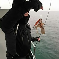 フィッシングガイド りょう 釣果