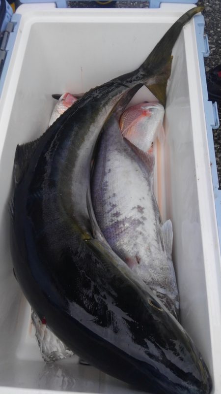 遊漁船 新鋭丸 釣果